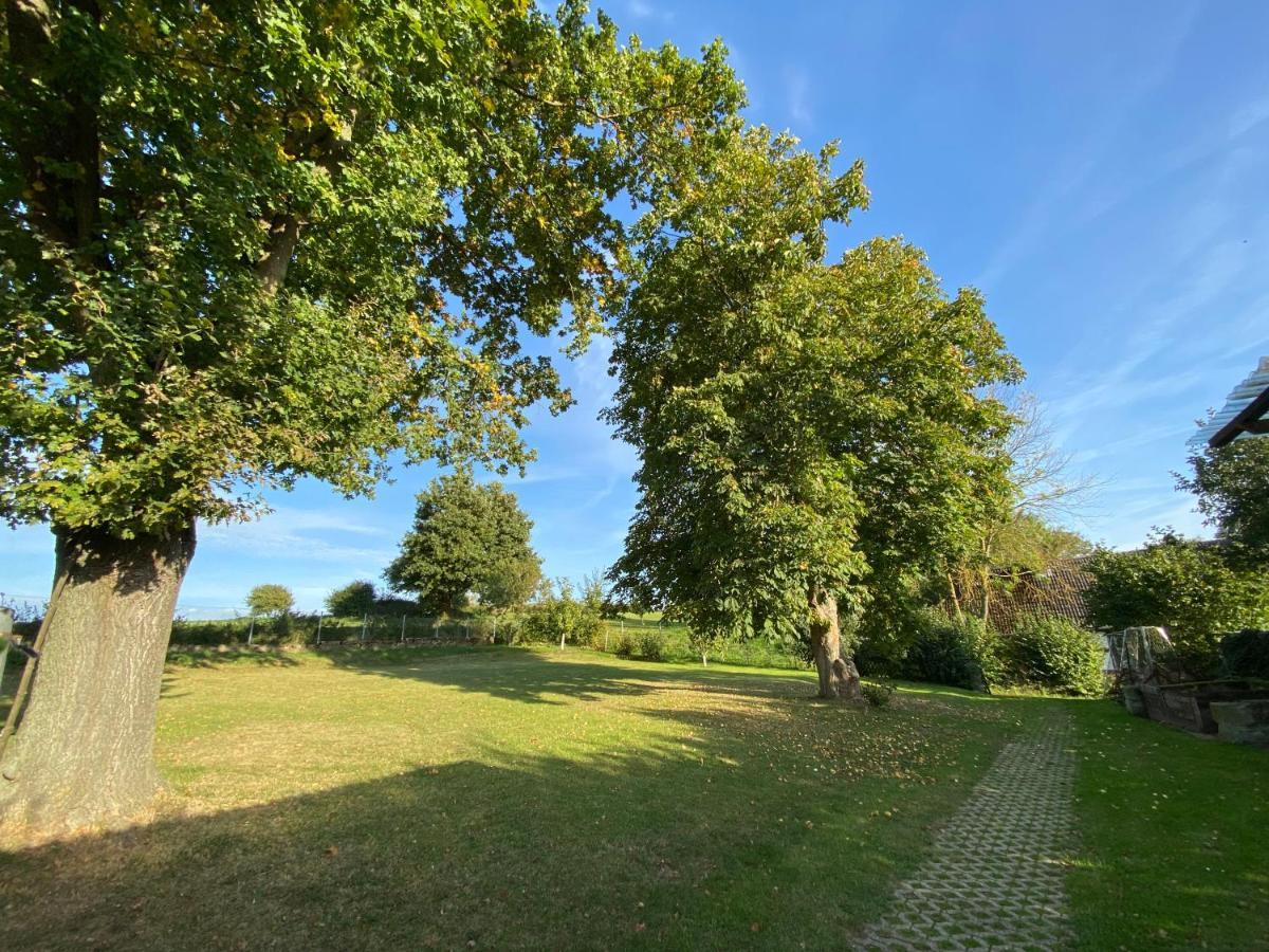 Riese Nordhessen Felsberg
